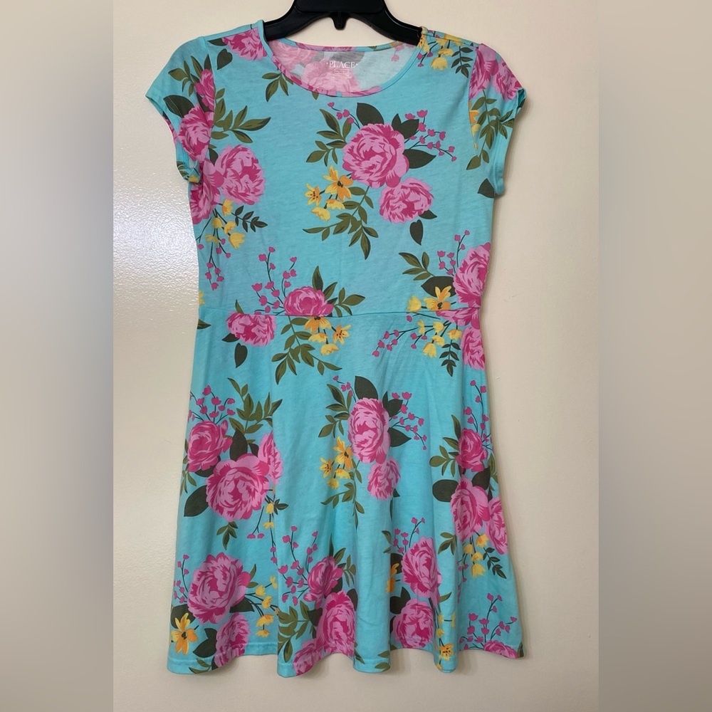 Floral Fit & Flare Dress in Aqua with Pink Roses